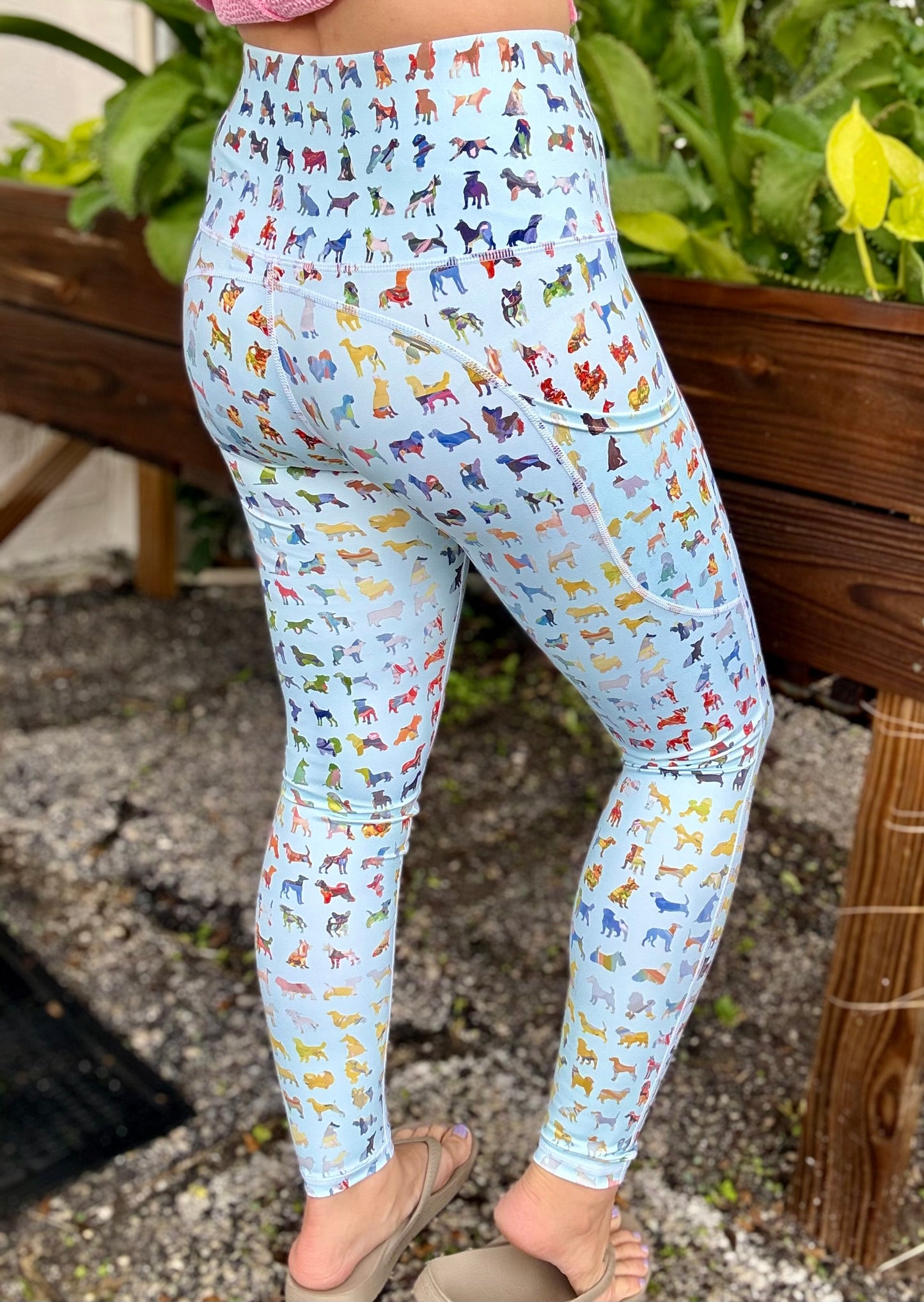 Dena Lyons Blue Buddies Dog Legging