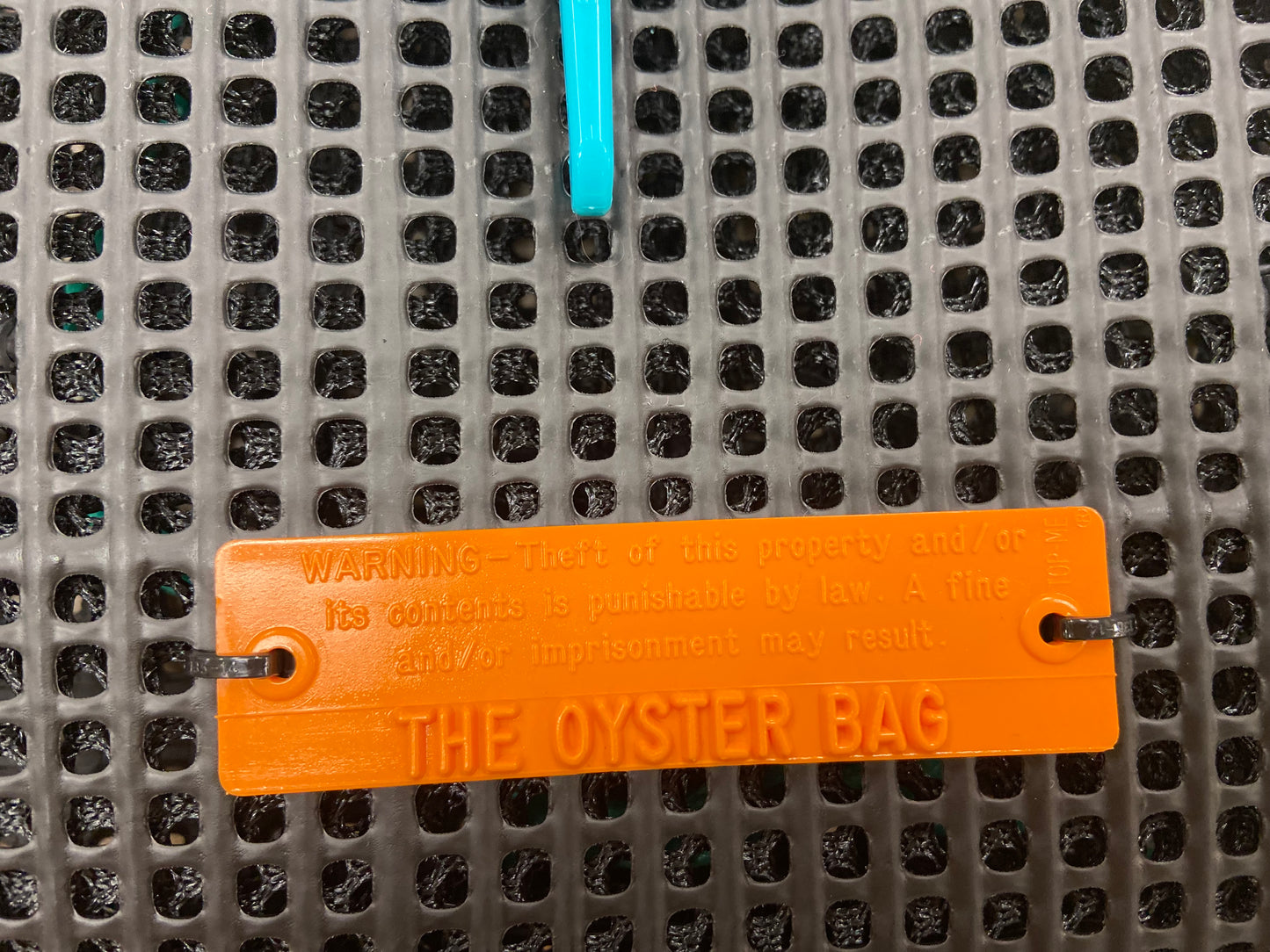 Oyster Bag Petite Shoulder Tote