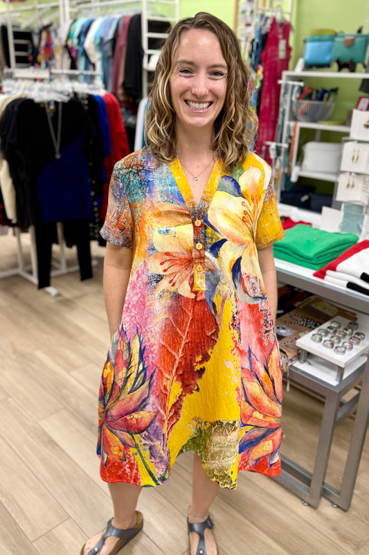 Aris A RD25038C-1 Hi-Lo Dress