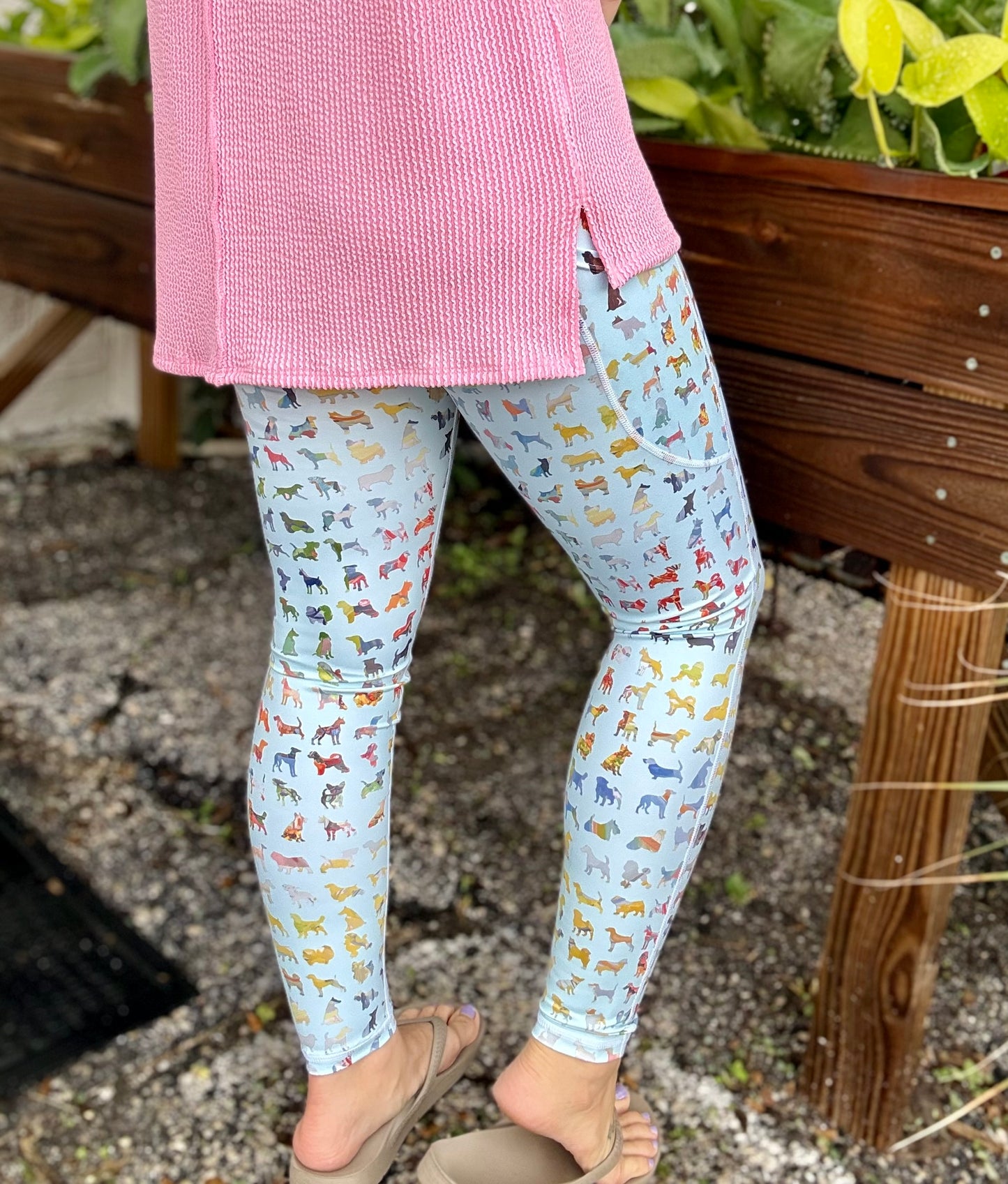 Dena Lyons Blue Buddies Dog Legging