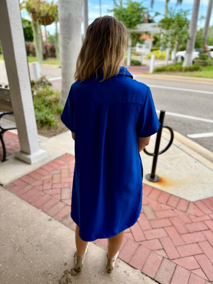 Pixi + Ivy Ellie Collared Dress
