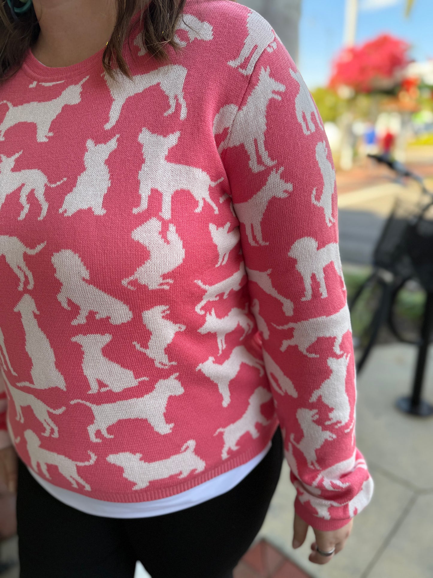 Alashan LC2559 Dogs Cotton Cashmere Sweater